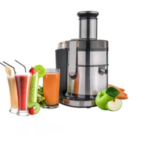 آبمیوه گیری چندکاره کاخلر KH-1180